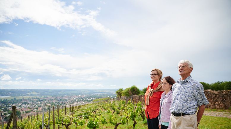 Die großen Fragen des Lebens