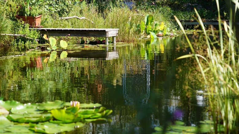 Natur im Garten