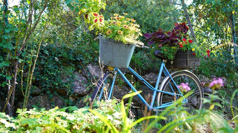 Natur im Garten