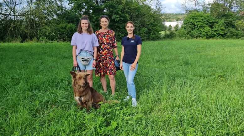 Der Hundeprofi - Rütters Team