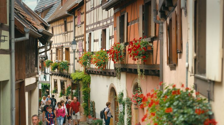 Das Elsass - Eine kulinarische Reise durch das Jahr