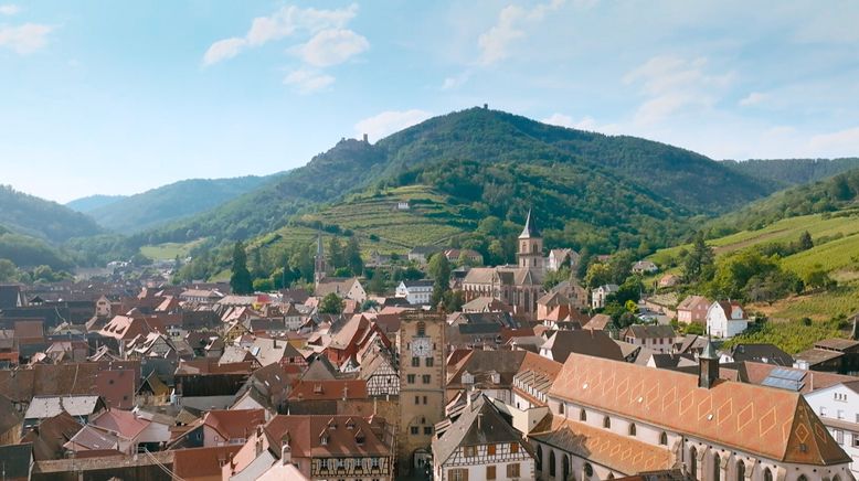 Das Elsass - Eine kulinarische Reise durch das Jahr