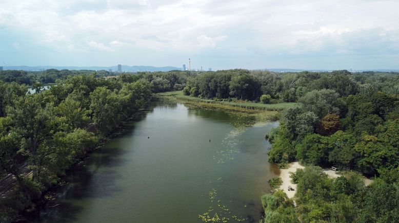 An der schönen blauen Donau - Wien und sein Fluss