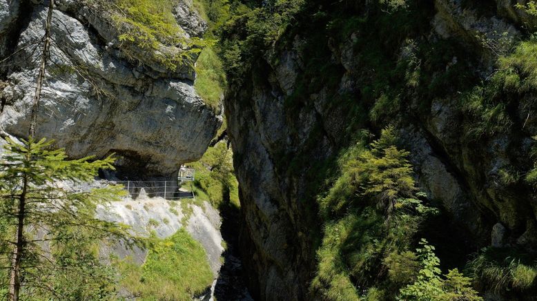 Herbstklang in den Tiroler Alpen