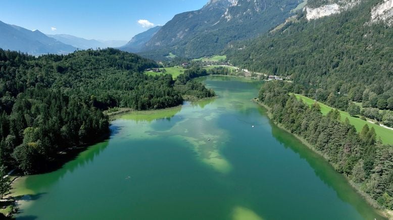 Herbstklang in den Tiroler Alpen