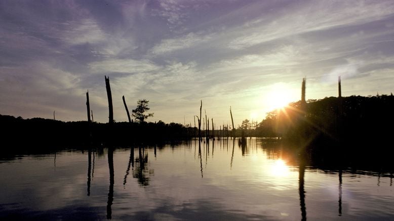 Ol' Man River - Mächtiger Mississippi