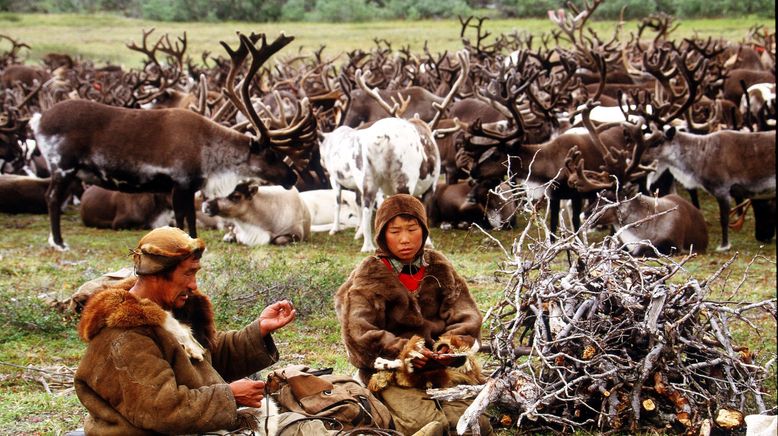 Beringia - Klima-Alarm in der Arktis