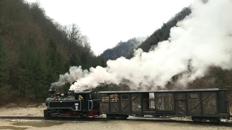 Die Waldbahn in der Karpatenschlucht