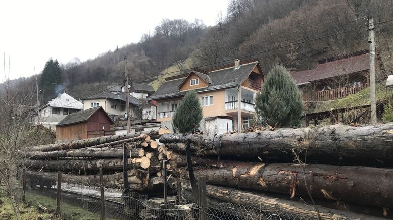 Die Waldbahn in der Karpatenschlucht