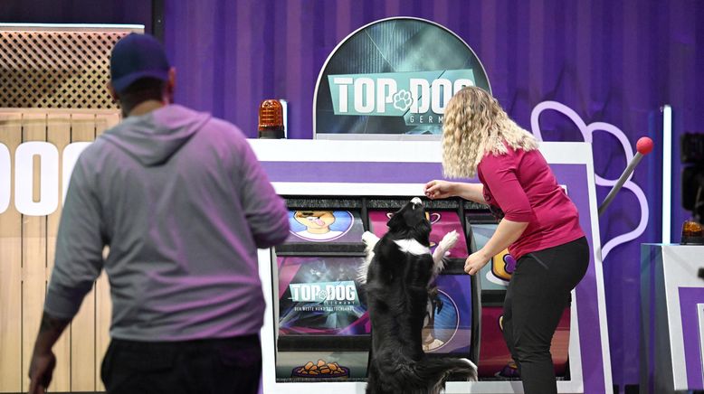 Top Dog Germany - Der beste Hund Deutschlands