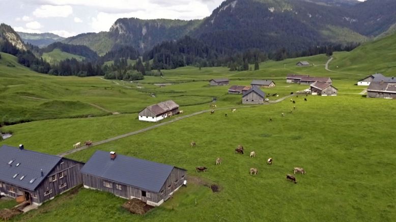 Heimat in den Alpen