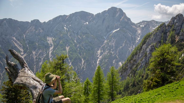 Heimat in den Alpen