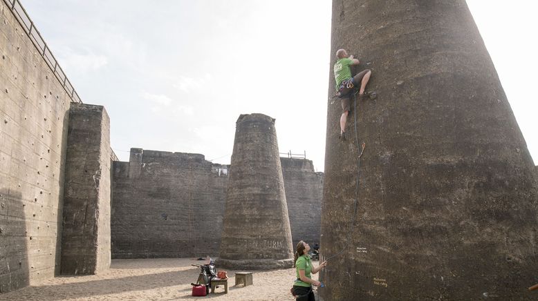 Giganten im Revier