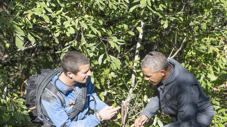 Bear Grylls: Stars am Limit