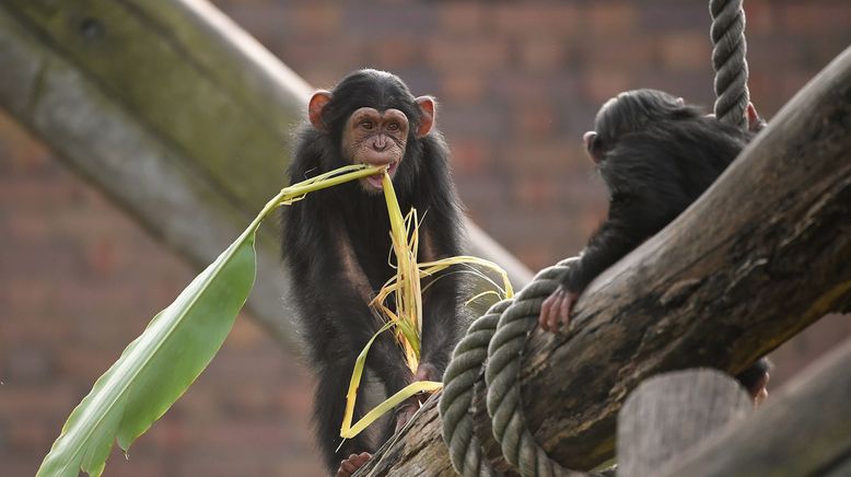 Taronga Zoo Hautnah