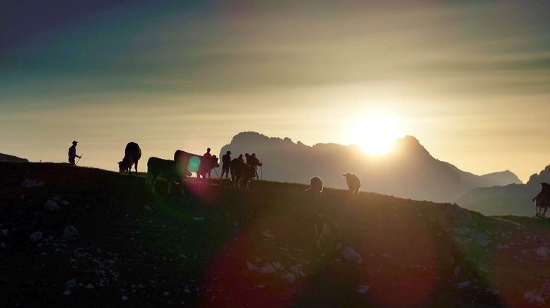 Almsommer rund um die Dolomiten