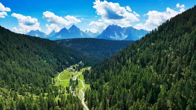 Almsommer rund um die Dolomiten