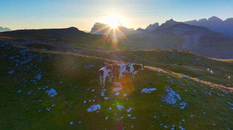 Almsommer rund um die Dolomiten