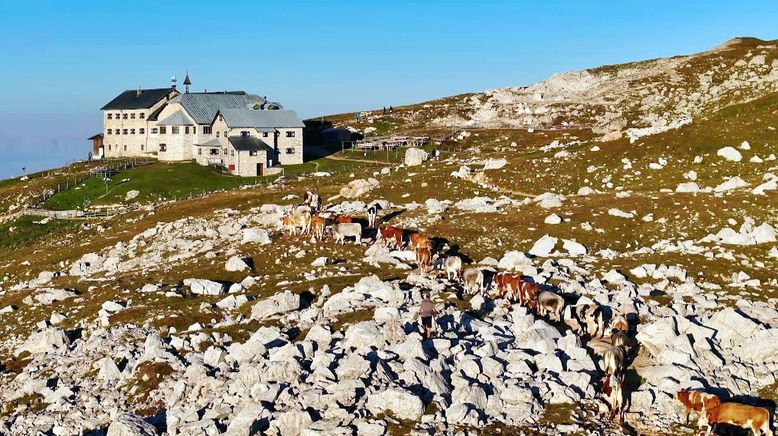 Almsommer rund um die Dolomiten