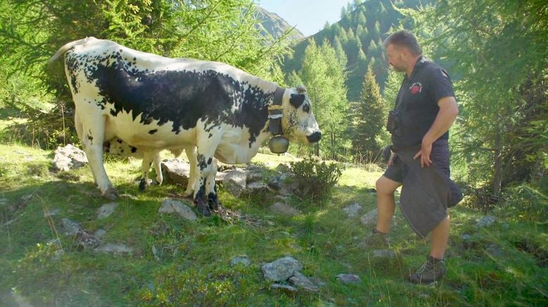 Almsommer rund um die Dolomiten