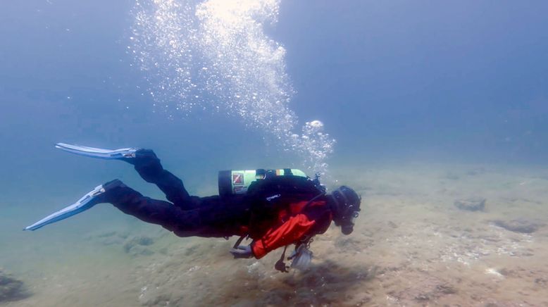 Beyond Oak Island - Die Schatzsucher auf geheimer Mission