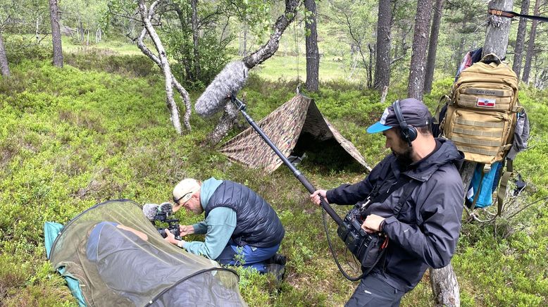 Das Camp in der Wildnis