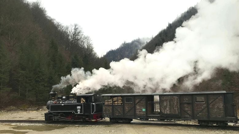 Die Waldbahn in der Karpatenschlucht