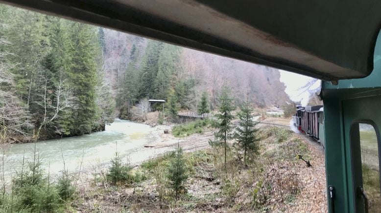 Die Waldbahn in der Karpatenschlucht