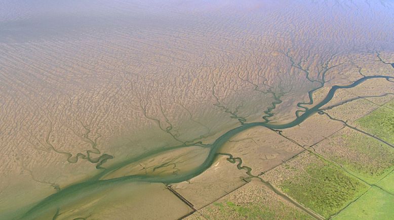 Die Nordsee von oben