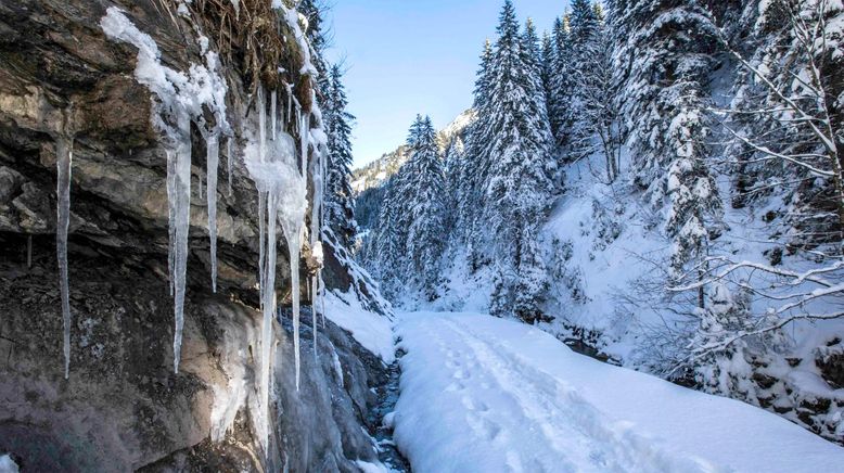 Das Kleinwalsertal