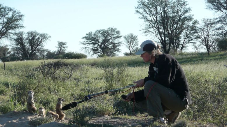 Welt der Tiere