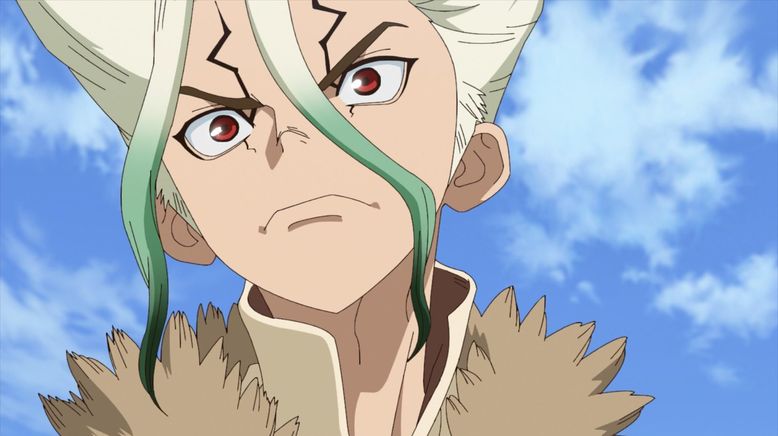 Dr. Stone