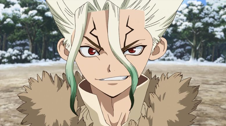 Dr. Stone