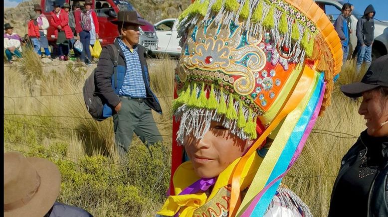 Peru, das Goldhaar der Vikunjas