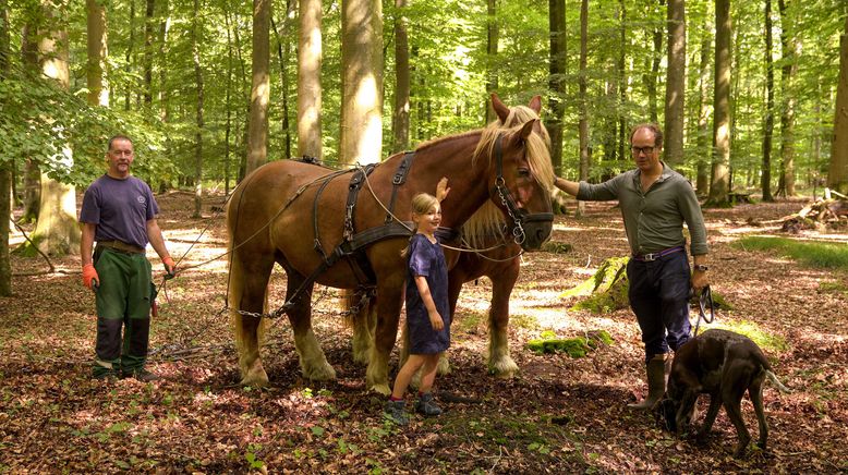 Neustart auf dem Gutshof