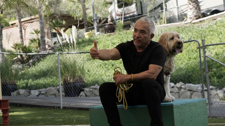 Cesar Millan: Guter Mensch, guter Hund