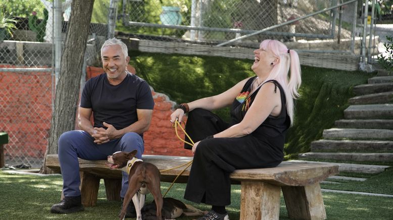 Cesar Millan: Guter Mensch, guter Hund