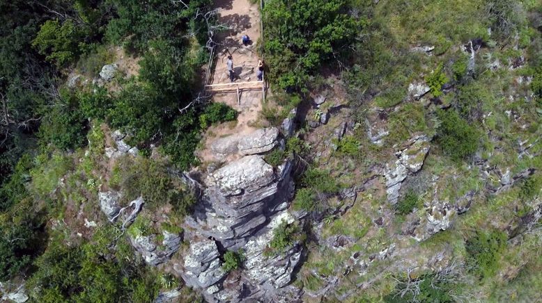 Rückkehr der Wildnis - Der Nationalpark Thayatal in Niederösterreich