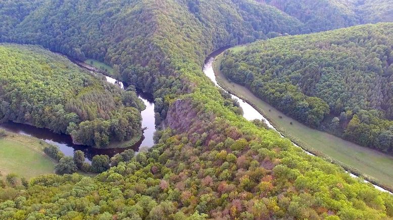 Rückkehr der Wildnis - Der Nationalpark Thayatal in Niederösterreich