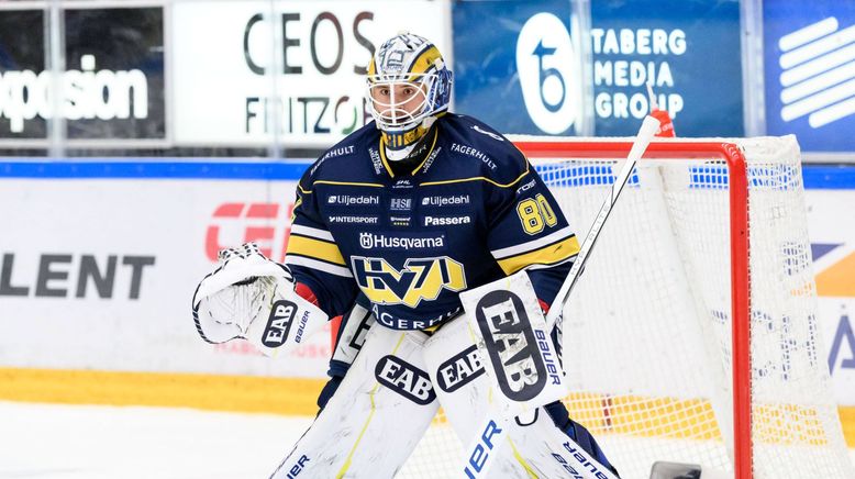 Eishockey Live - Svenska Hockeyligan