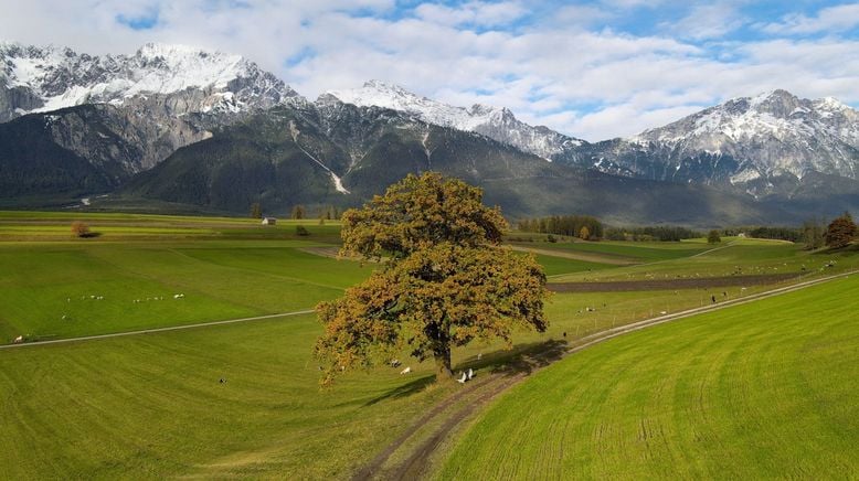 Die Alpen im Herbst