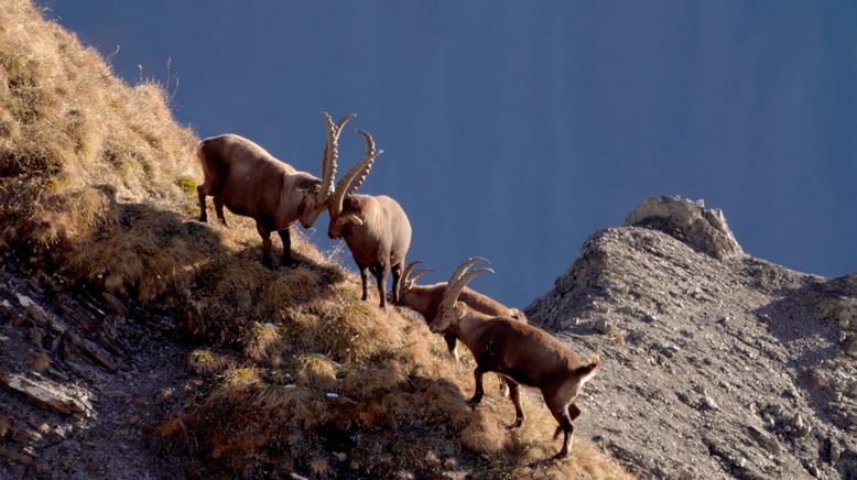 Die Alpen im Herbst