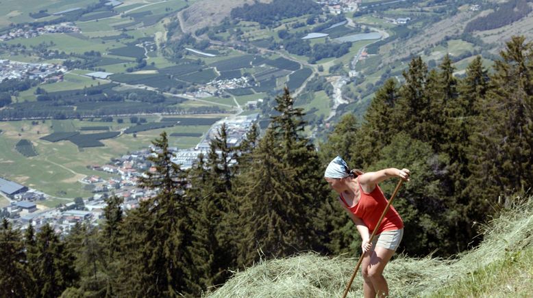 Bergbäuerinnen in Südtirol