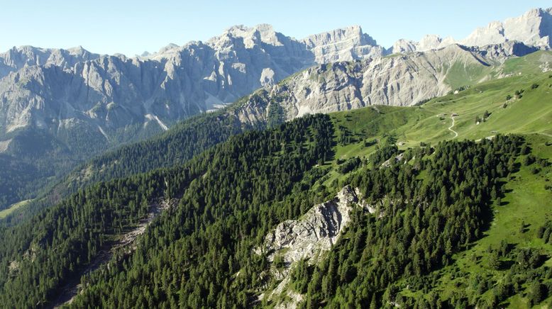 Bergbäuerinnen in Südtirol