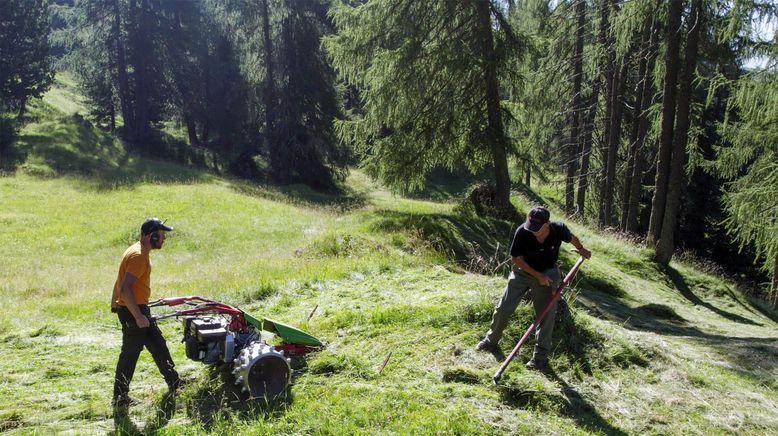 Bergbäuerinnen in Südtirol