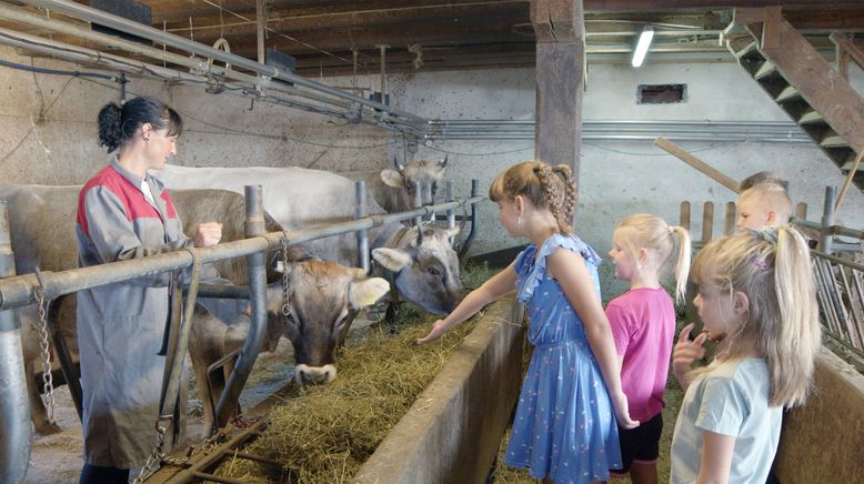 Bergbäuerinnen in Südtirol