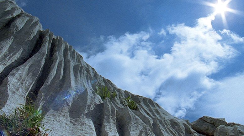 Die Wüste der Alpen - Leben im toten Gebirge