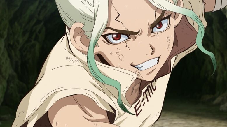 Dr. Stone