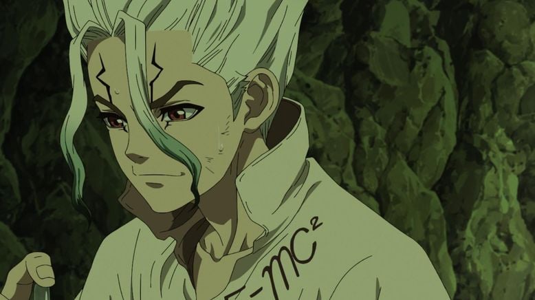 Dr. Stone