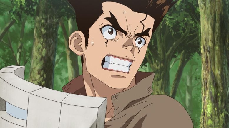 Dr. Stone